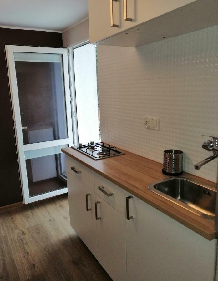 Pokoje Zacisze Lesne Stegna  Extérieur photo